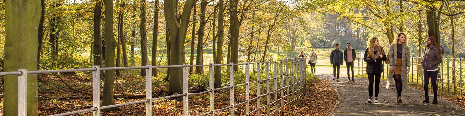 A group of people walking along a wooded path within the Campus grounds.