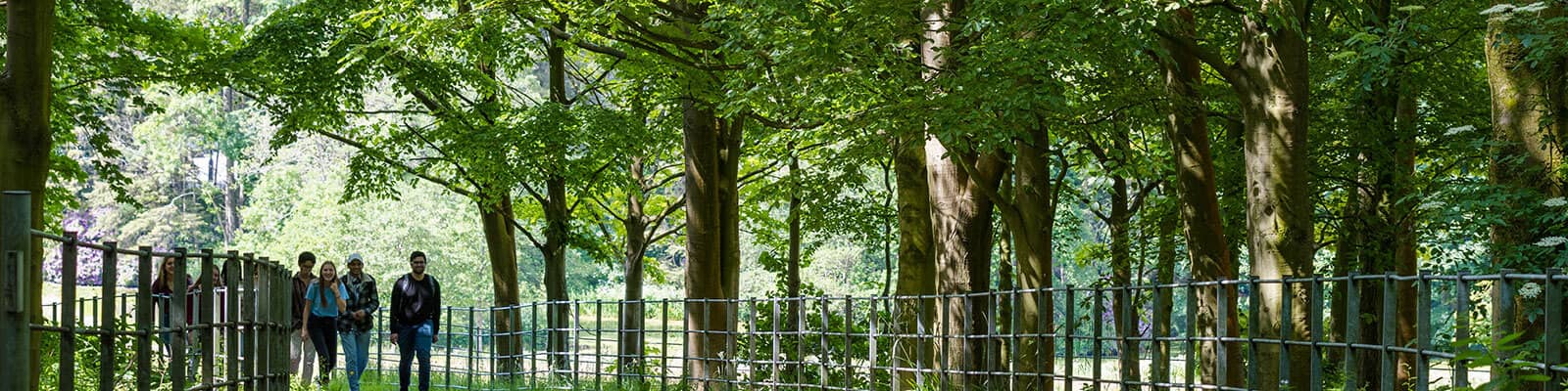 People walking along a wooded path, within the campus parkland grounds.