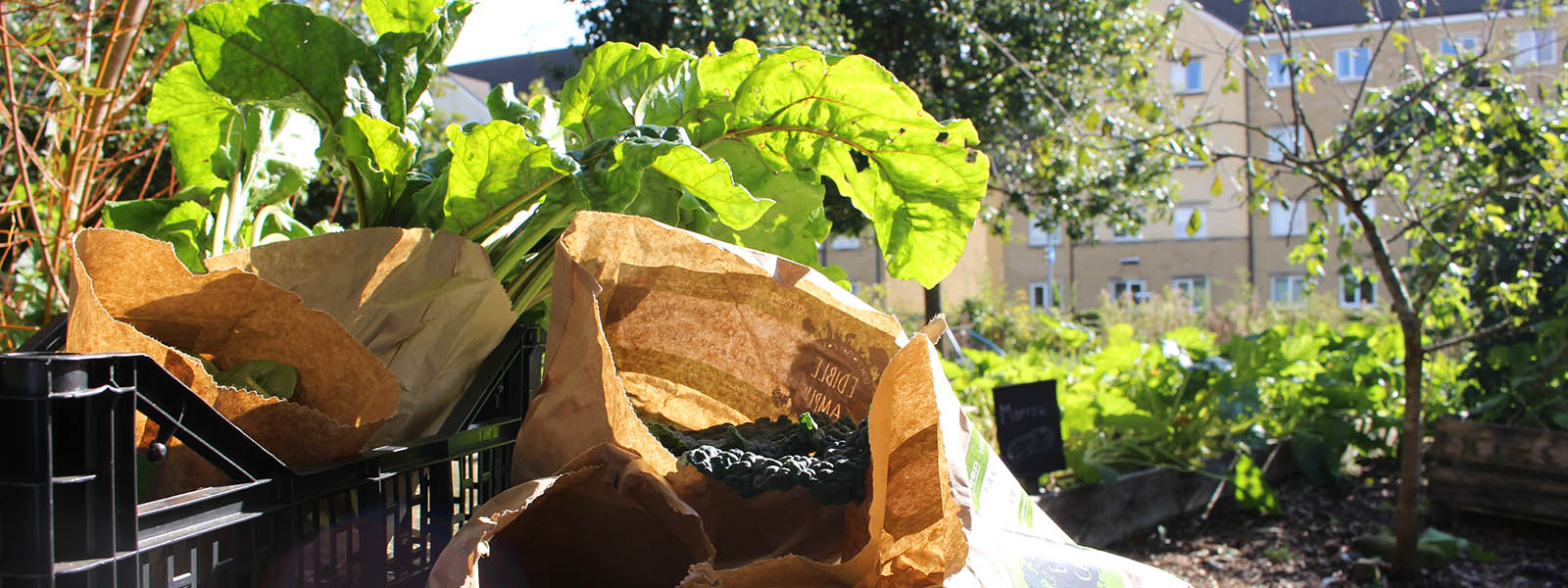 Sustainable produce