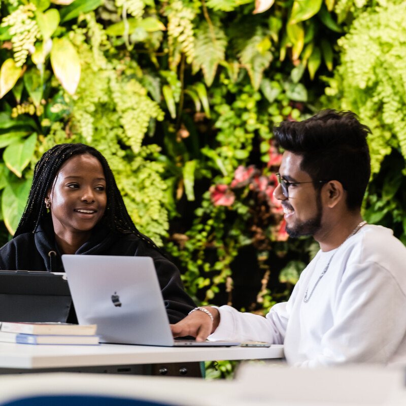 Students sat at a computer