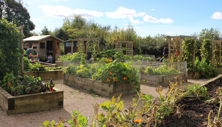 ECOHub allotment