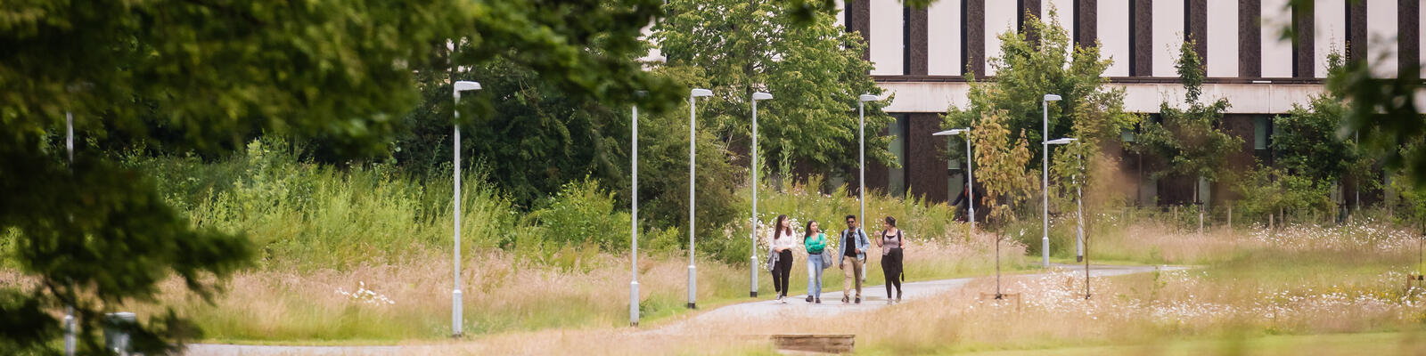 Group of students walking on campus green space near the Health Innovation Campus