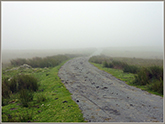 Mist on road to Corney