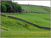 Barn in field, Dentdale