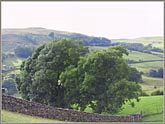 Firbank Fell from Draw-well