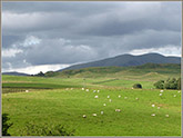 Firbank Fell from South-West