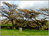 Site of Firbank Chapel