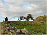 Firbank Fell from South