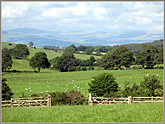 Fields from Over Kellet