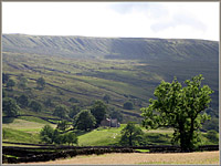 Garsdale, south side, coming down from Grisdale