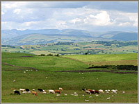 Towards Kendal from Warth Hill