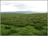 Pen-y-ghent from near Gearstones