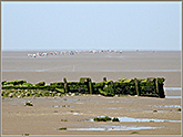 Bay Walk from 
			Hest Bank