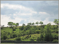 Towards Scout Scar