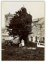 Sedbergh: Fox’s yew