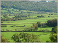Lyth Valley