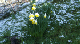 DSCF5045