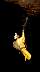 0733-pe-21.jpg