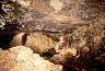 0733-pe-23.jpg