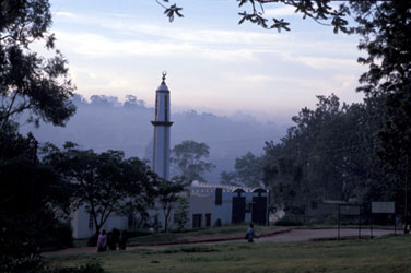 Early morning from Makerere University campus,