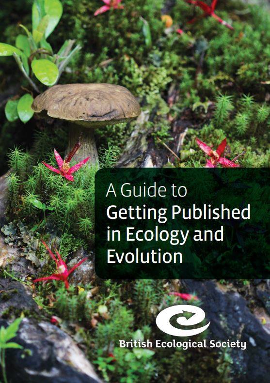 BES guide
