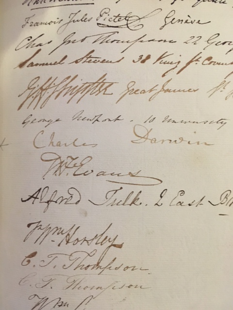 Darwin signature 2