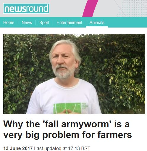 Newsround
