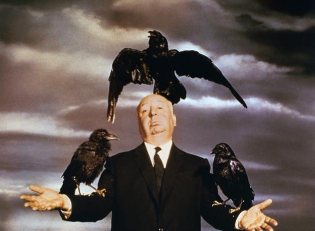 Hitchcock and the birds corbis large
