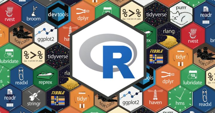 The Tidyverse: the best* -verse for data scientist