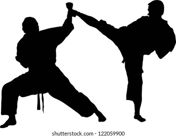 Fighting in the Karate Club: Stochastic block models