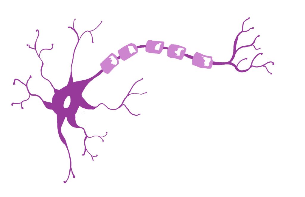 Image of a neuron cell