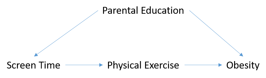 Directed acyclic graph showing the link between the different modelling