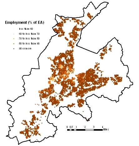 Economically active and in employment 1971
