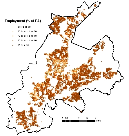 Economically active and in employment 2001