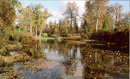 Savill Garden