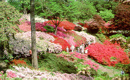 Valley Gardens