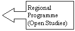 Left Arrow Callout: Regional
Programme 
(Open Studies)
