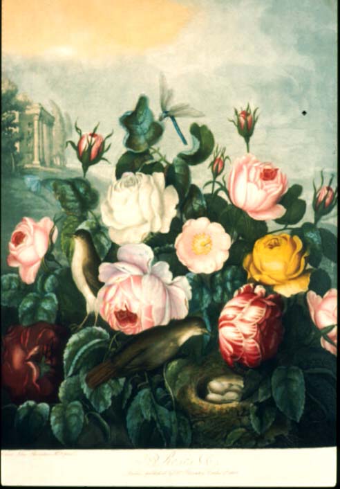 Flower painting