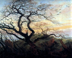 Friedrich tree