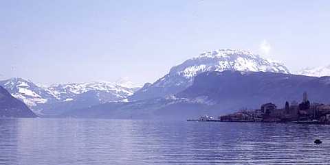 Lucerne