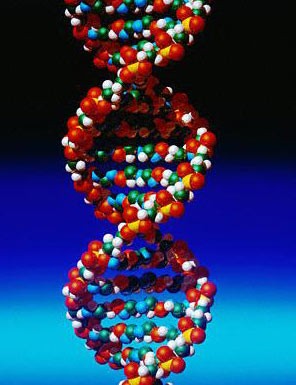 DNA image