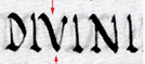 divini
