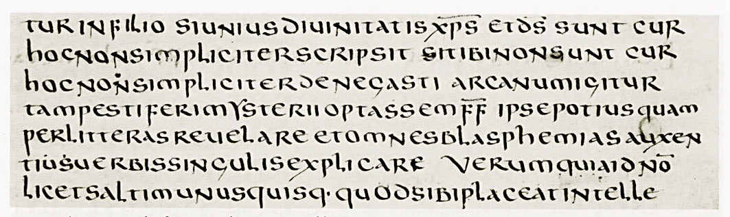 Larger version of selected portion of manuscript