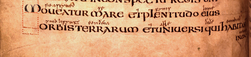 Vespasian Psalter section 5