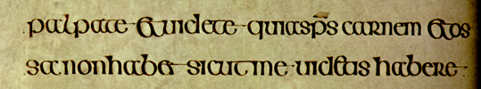 Book of Kells lines 1-2