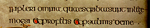 Book of Kells lines 13-14