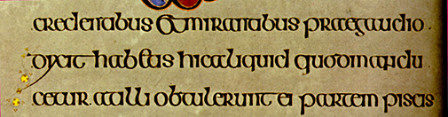 Book of Kells lines 5-7