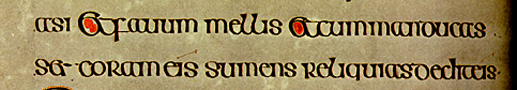 Book of Kells lines 8-9