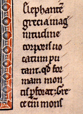 Bestiary Lines 22-30