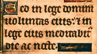 Alphonso Psalter Lines 7-10